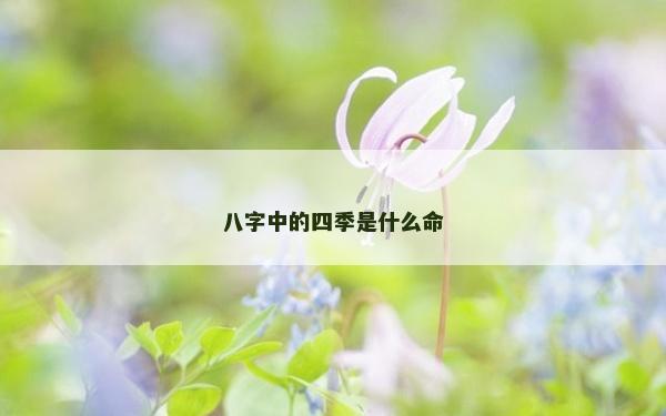 八字中的四季是什么命
