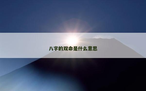 八字的双命是什么意思