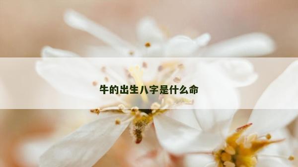 牛的出生八字是什么命