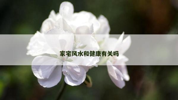 家宅风水和健康有关吗