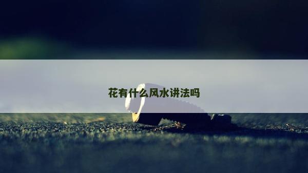 花有什么风水讲法吗