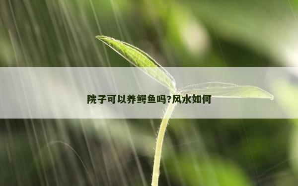 院子可以养鳄鱼吗?风水如何