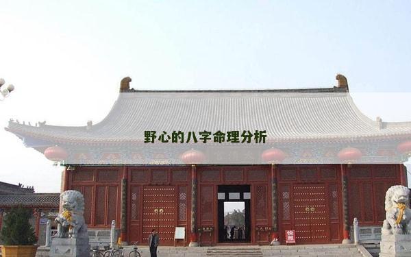野心的八字命理分析