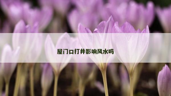 屋门口打井影响风水吗