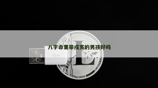 八字命里带戌亥的男孩好吗
