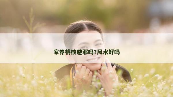 家养桃核避邪吗?风水好吗
