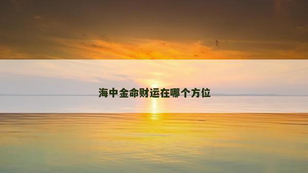 海中金命财运在哪个方位