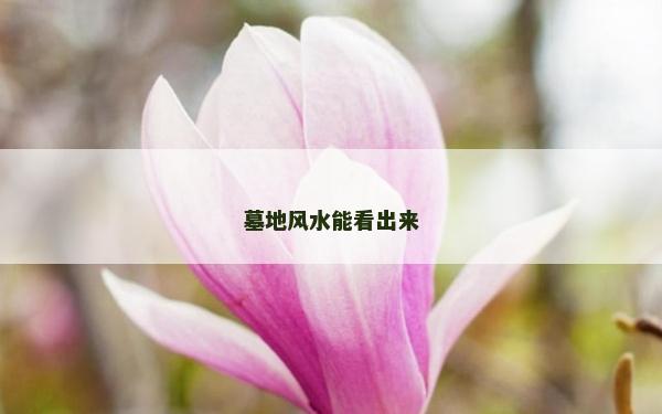 墓地风水能看出来