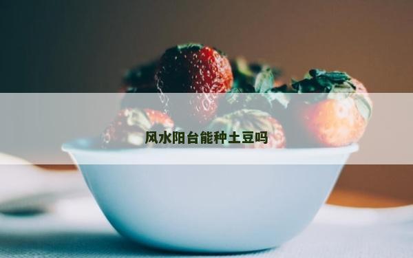 风水阳台能种土豆吗