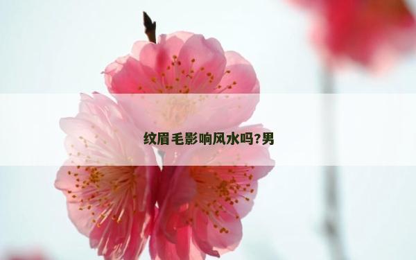 纹眉毛影响风水吗?男