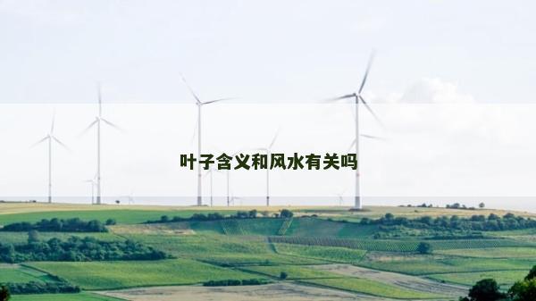 叶子含义和风水有关吗