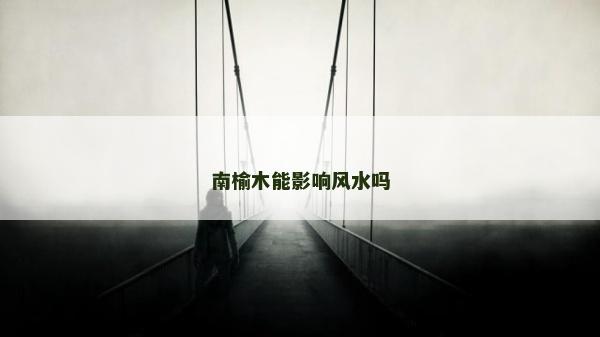南榆木能影响风水吗