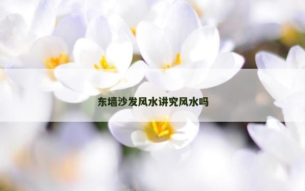 东墙沙发风水讲究风水吗