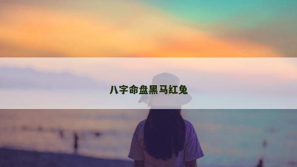 八字命盘黑马红兔