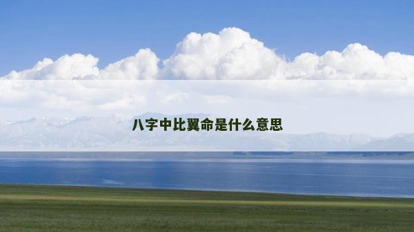 八字中比翼命是什么意思