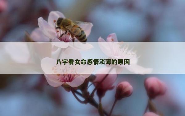 八字看女命感情淡薄的原因