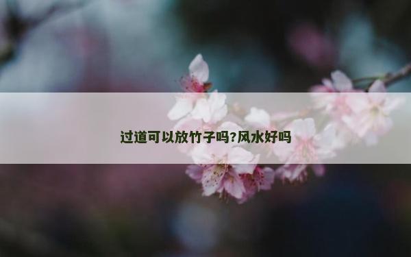 过道可以放竹子吗?风水好吗