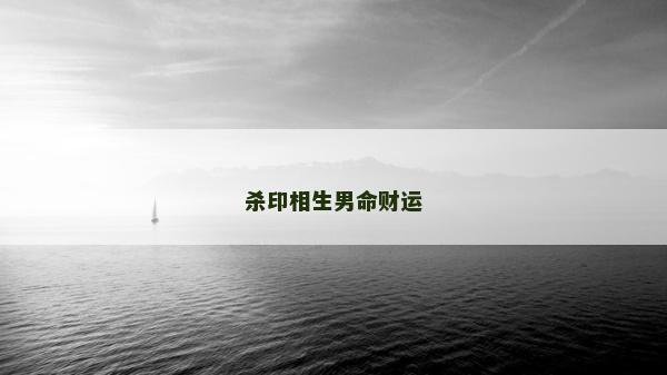杀印相生男命财运