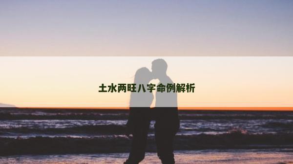 土水两旺八字命例解析