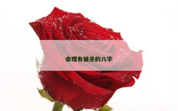 命理有被杀的八字
