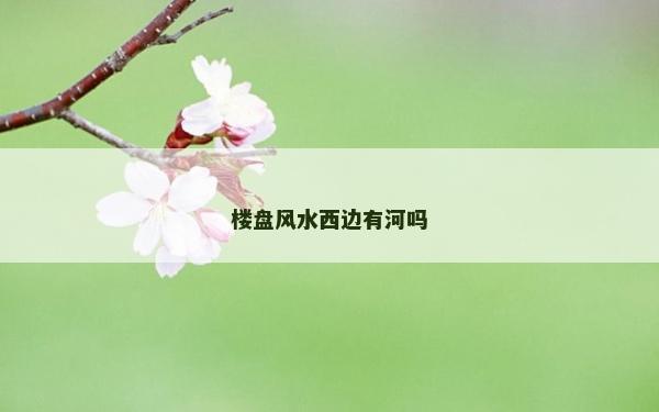 楼盘风水西边有河吗