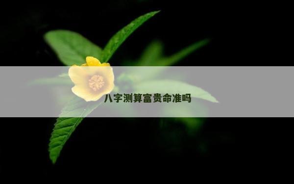 八字测算富贵命准吗