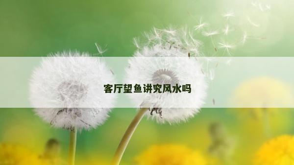 客厅望鱼讲究风水吗