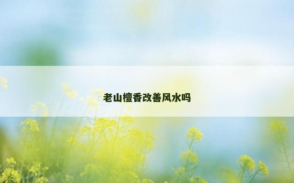 老山檀香改善风水吗