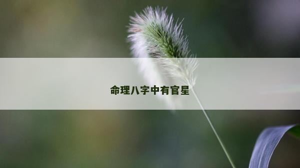 命理八字中有官星
