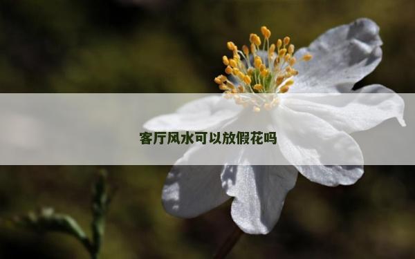 客厅风水可以放假花吗
