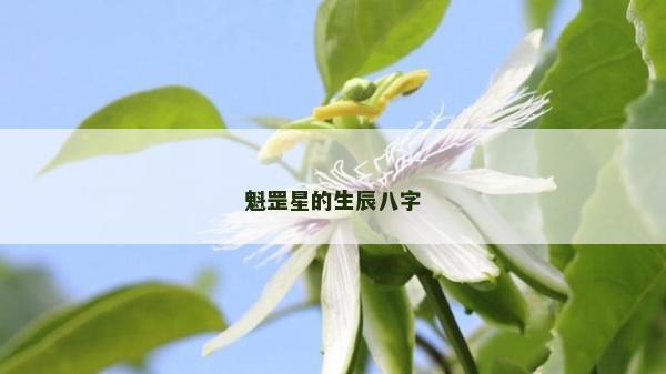 魁罡星的生辰八字