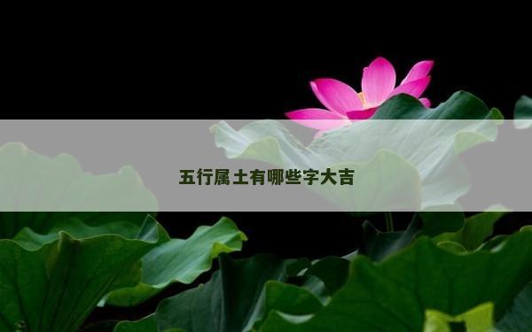 五行属土有哪些字大吉