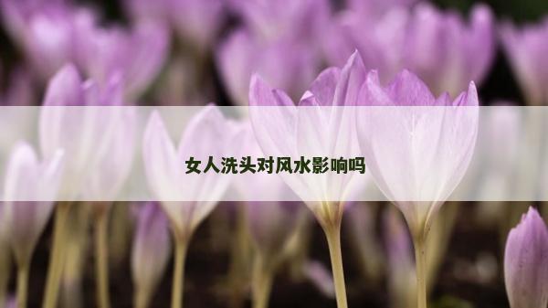 女人洗头对风水影响吗