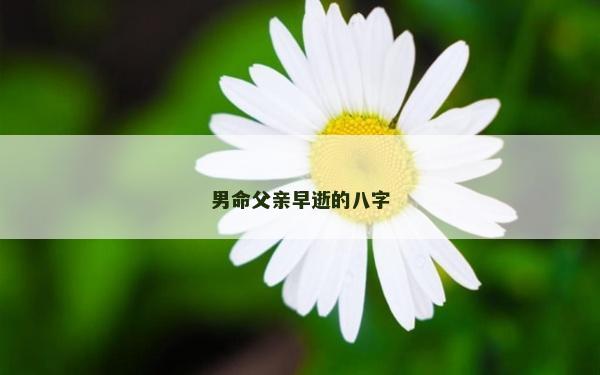 男命父亲早逝的八字