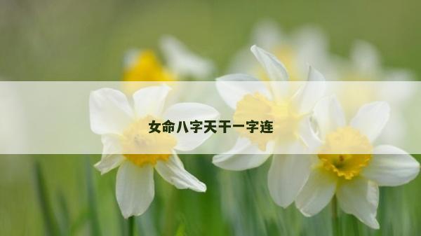 女命八字天干一字连