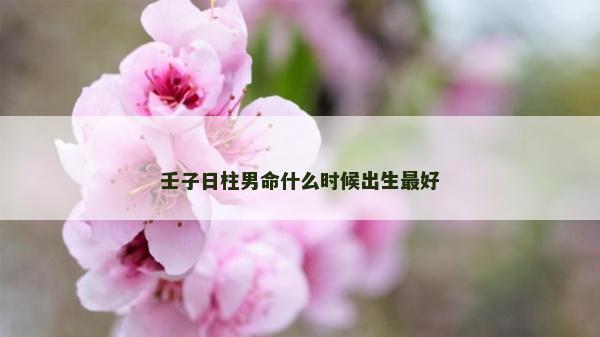 壬子日柱男命什么时候出生最好