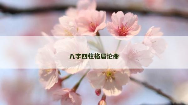 八字四柱格局论命