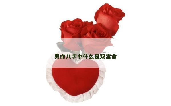 男命八字中什么是双宫命