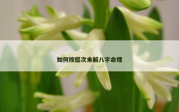 如何按层次来解八字命理