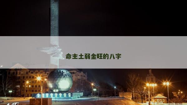 命主土弱金旺的八字