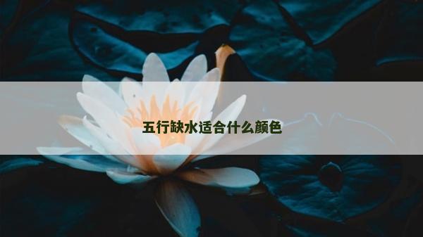 五行缺水适合什么颜色