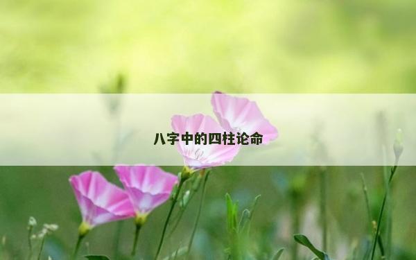 八字中的四柱论命
