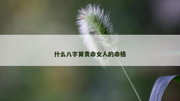 什么八字算贵命女人的命格