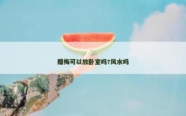 腊梅可以放卧室吗?风水吗