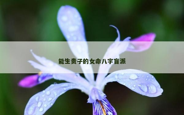 能生贵子的女命八字盲派