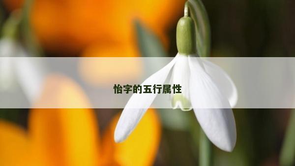 怡字的五行属性