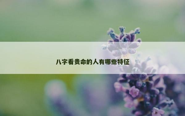 八字看贵命的人有哪些特征