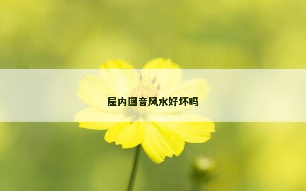 屋内回音风水好坏吗