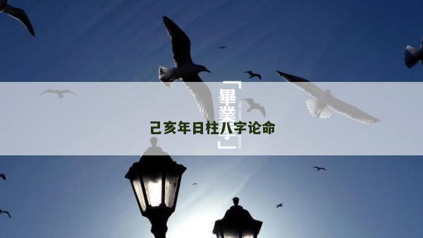 己亥年日柱八字论命