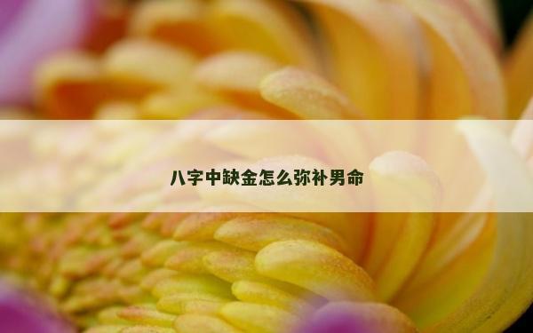 八字中缺金怎么弥补男命